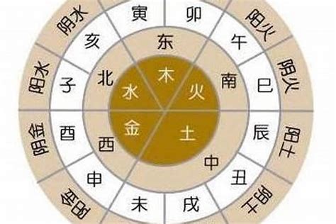 怎么查五行|五行查询